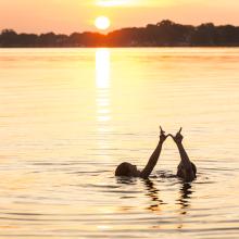 People swimming at the Terrace pier at sunrise